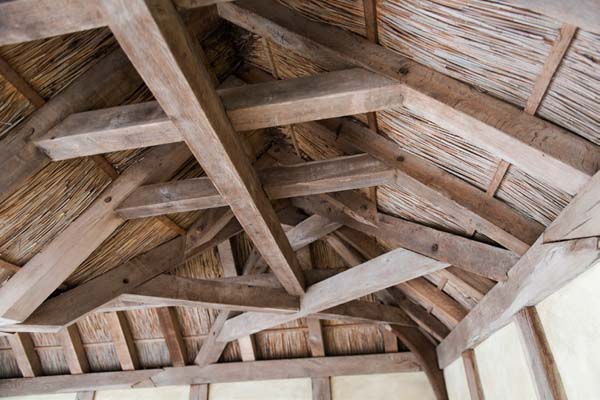 The-structural-timbers-of-the-shelter